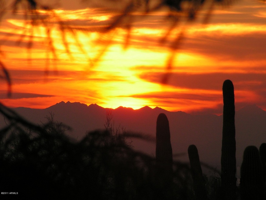 Sunset View