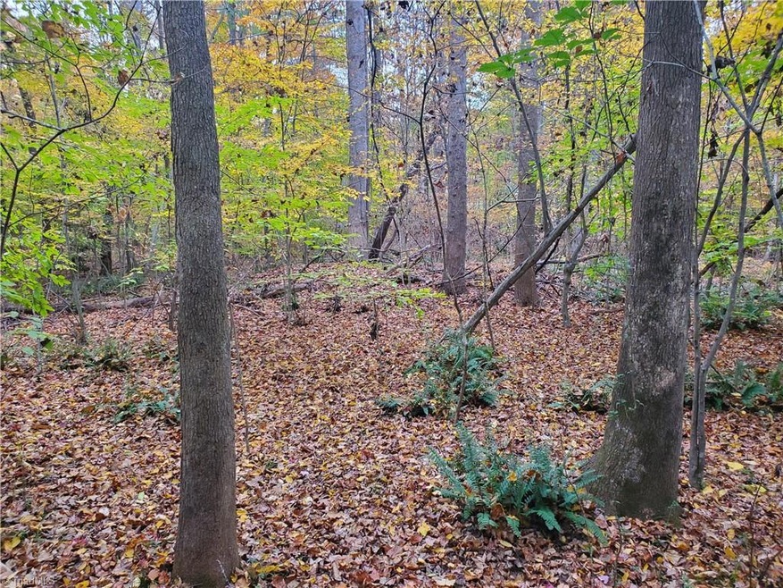 Lt 4 Gentry Acres Rd Gentry Acres Rd, Asheboro, NC 27205 - photo 1