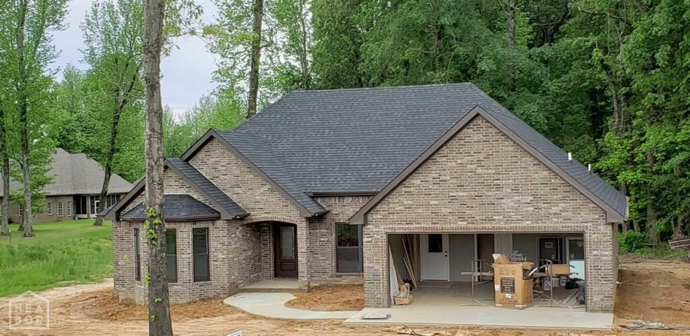 3208 Fairview Rd, Paragould, AR 72450 - photo 1