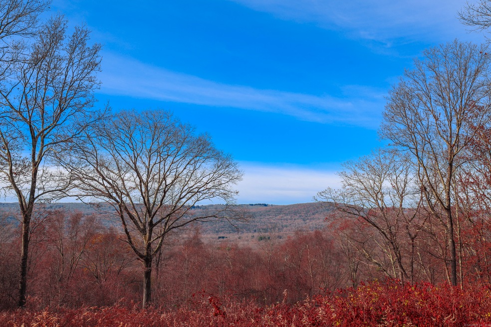 13A Osborn Rd, Sherman, CT 06784 - photo 1