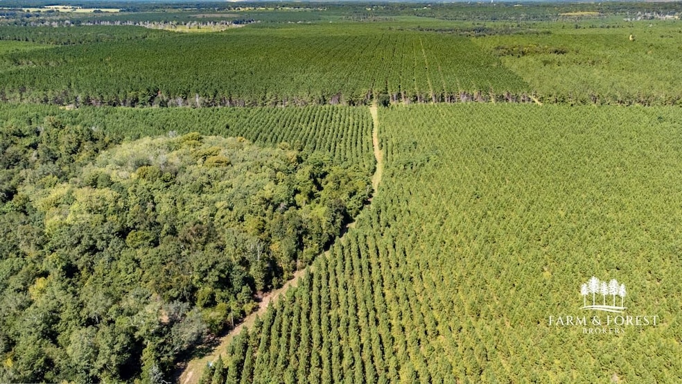 XX1 Highway 2, Campbellton, FL 32426 - photo 1