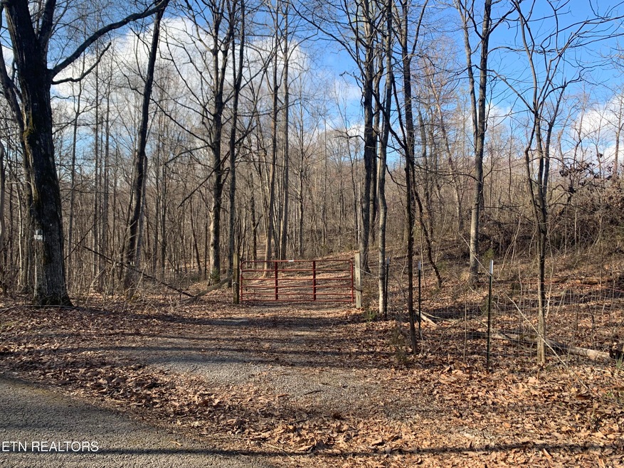 1803 Promiseland Rd, Blaine, TN 37709 - photo 1