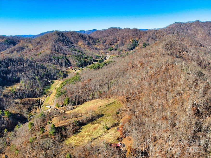 TBD Rockinghorse Trail unit Tract 2, Burnsville, NC 28714 - photo 1