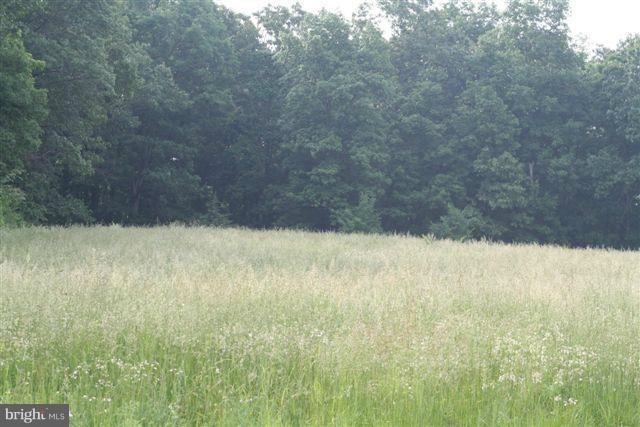 0 Readus Rd unit 1004647508, Edinburg, VA 22824 - photo 1