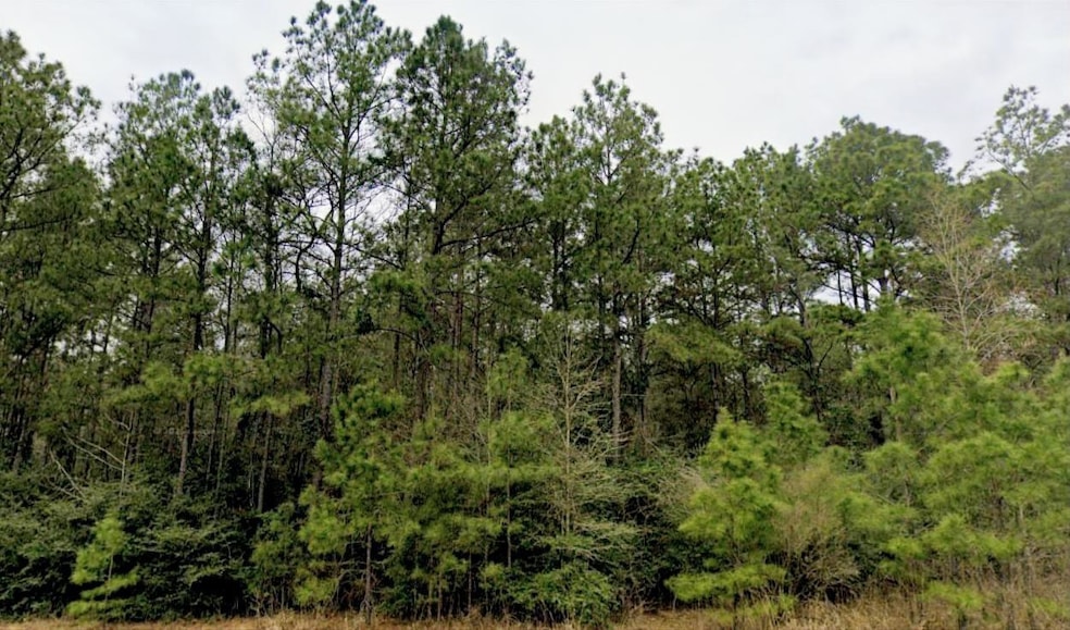 15588 Intrepid Ln, Willis, TX 77378 - photo 1