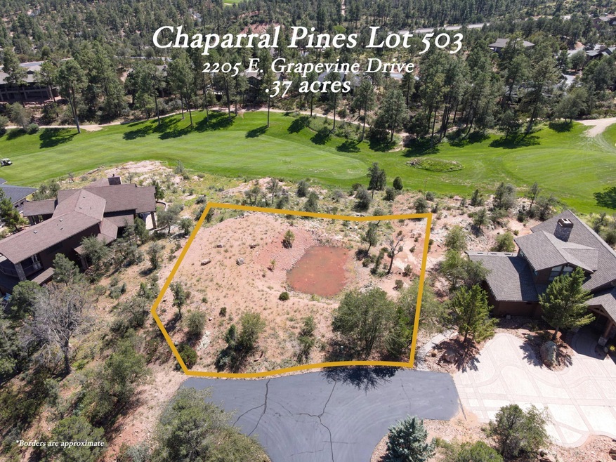 Lot 503