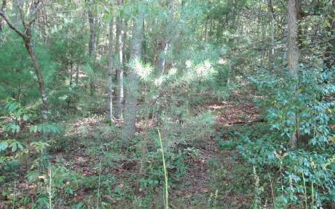 11&12 Noontootla Ridge Ct, Blue Ridge, GA 30513 - photo 1