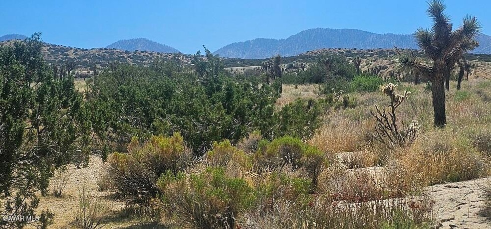 0 Avenue X 136th St E unit 23006122, Pearblossom, CA 93553 - photo 1