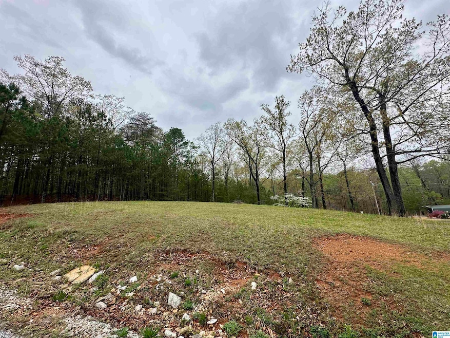 0 Jones Dr unit 15 21414159, Sylacauga, AL 35151 - photo 1