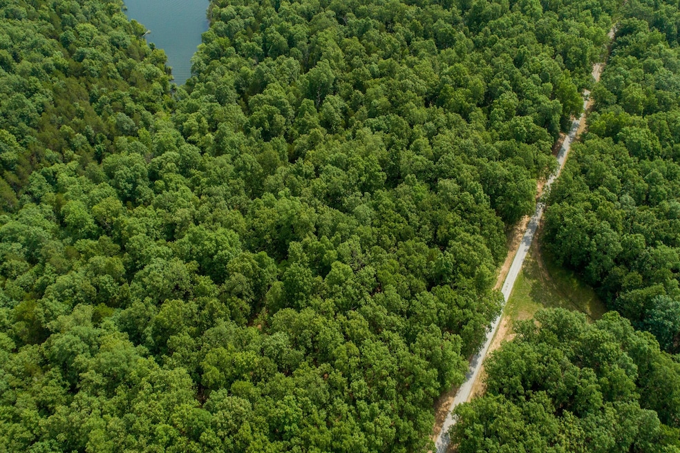 000 Airline Dr unit Lot 42, Protem, MO 65733 - photo 1