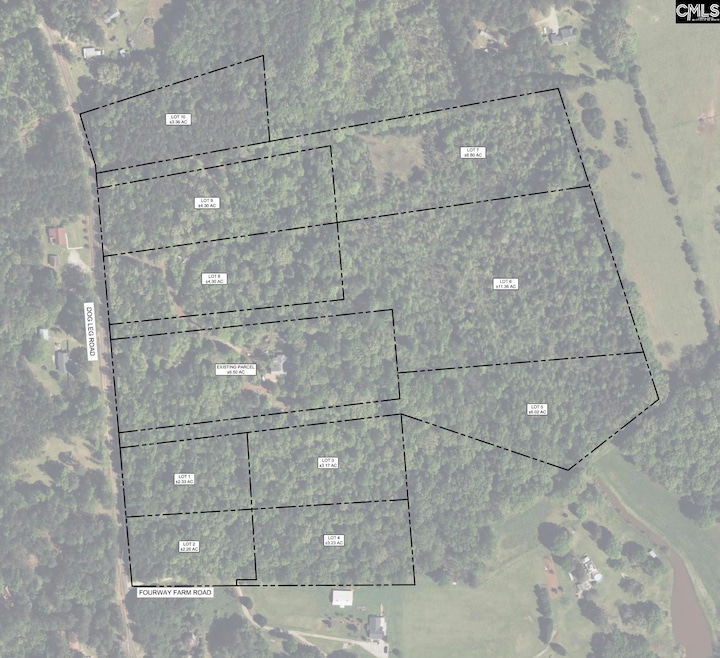 TBD Dog Leg Rd, Batesburg-Leesville, SC 29070 - photo 1