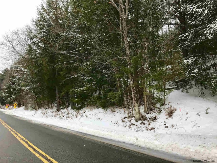 8 Potter Brook Rd, Warrensburg, NY 12885 - photo 1