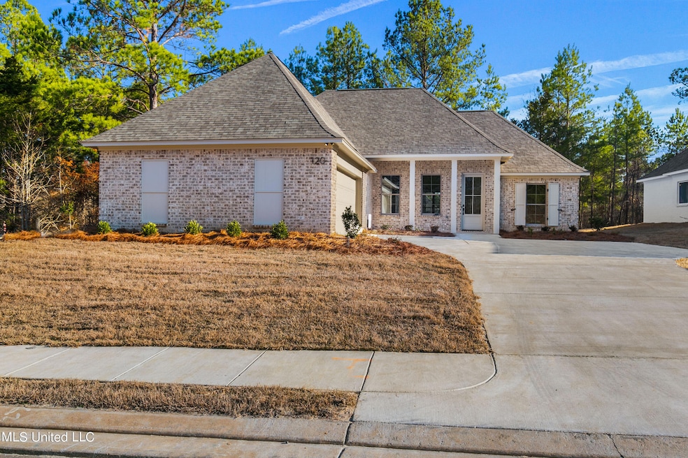 120 Lake Bend, Madison, MS 39110 - photo 1