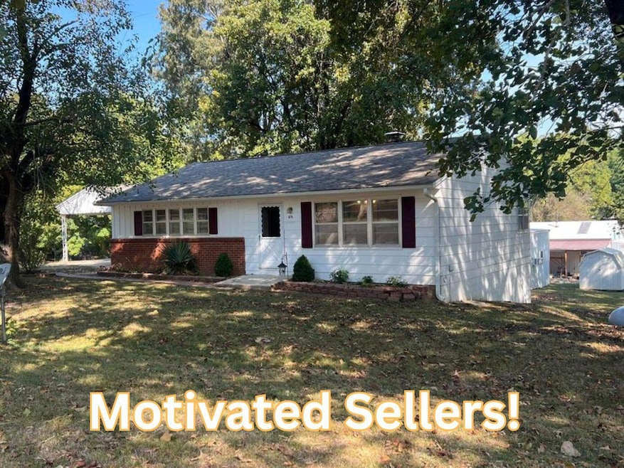 575 Goldsmith Ave, Mammoth Spring, MO 72554 - photo 1