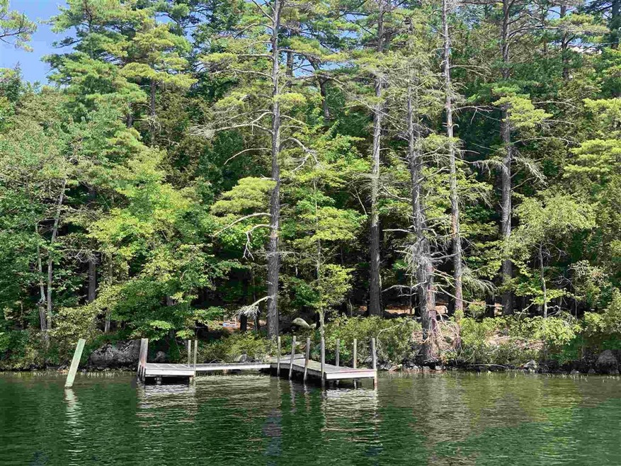 88 Cow Island, Tuftonboro, NH 03816 - photo 1