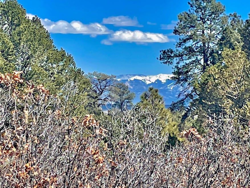 000 Calle de Canario