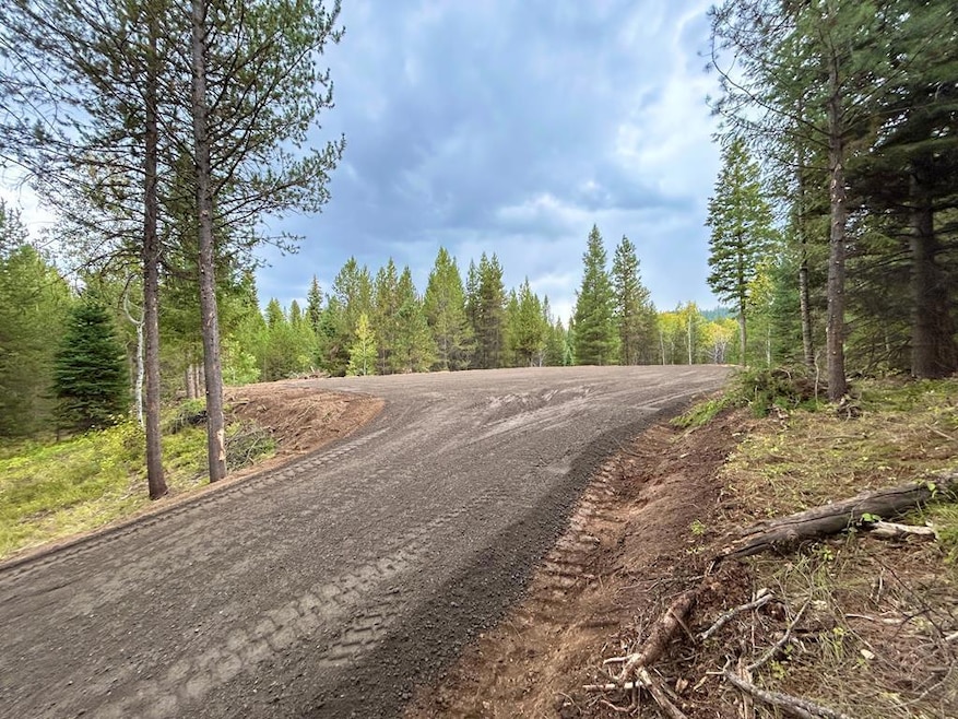Lot 26 Sawtooth Loop unit Lot 26, Cascade, ID 83611 - photo 1