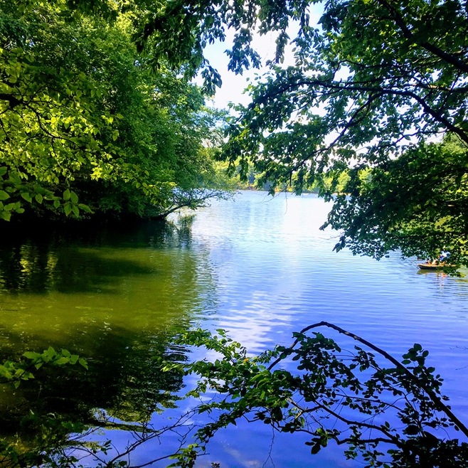 43 Cypress Rd, Natick, MA 01760 - photo 1