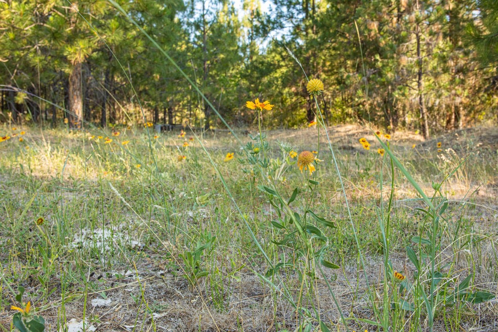 Fossil Oregon Recreational Property