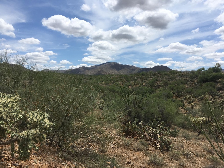 Mountain Views