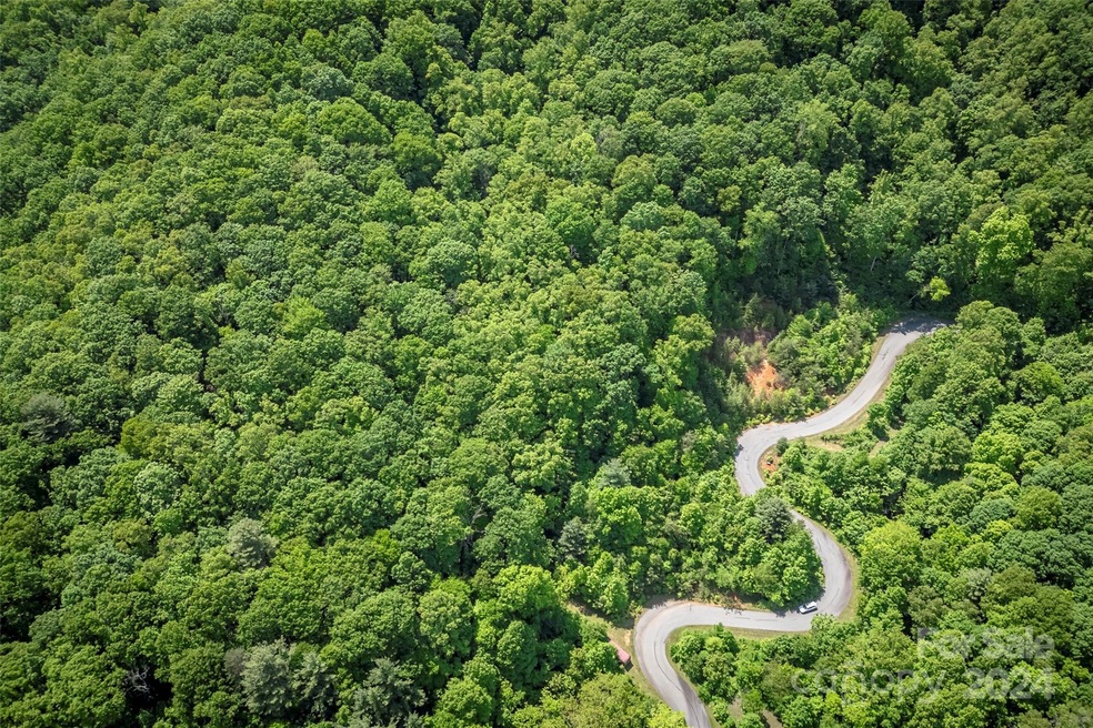 99999 Spring Creek Trail unit 9,11,12,13, Asheville, NC 28806 - photo 1