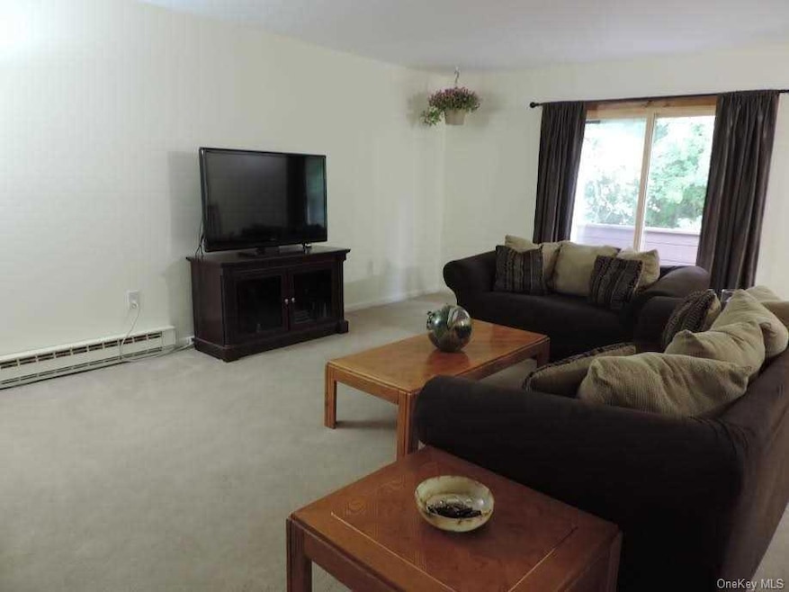 41 Scarborough Ln unit D, Wappingers Falls, NY 12590 - photo 1