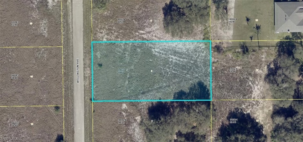 1712 Wellington Ave, Lehigh Acres, FL 33972 - photo 1