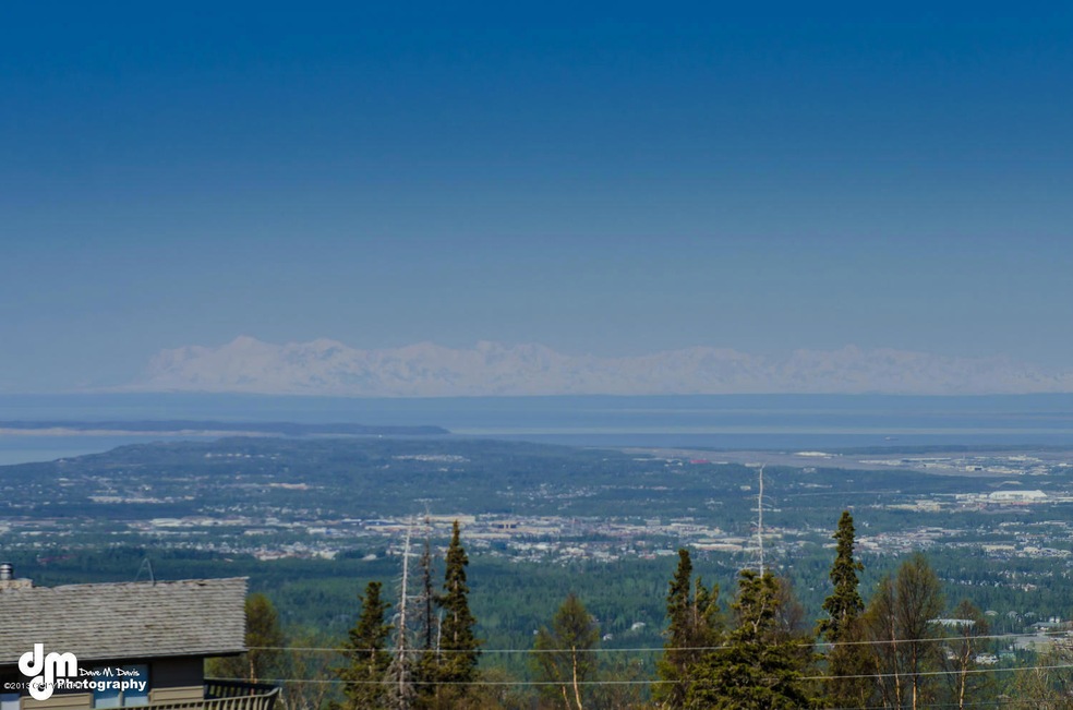 10200 Stroganof Dr Anchorage-large-005-V