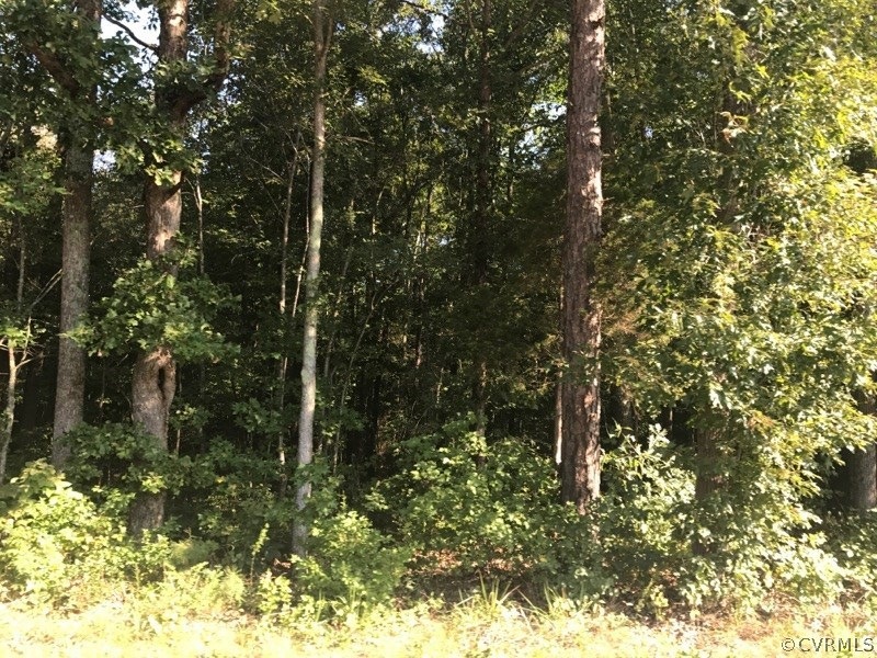 6.000 ACRES, Bevils Bridge Rd, Amelia Courthouse, VA 23002 - photo 1