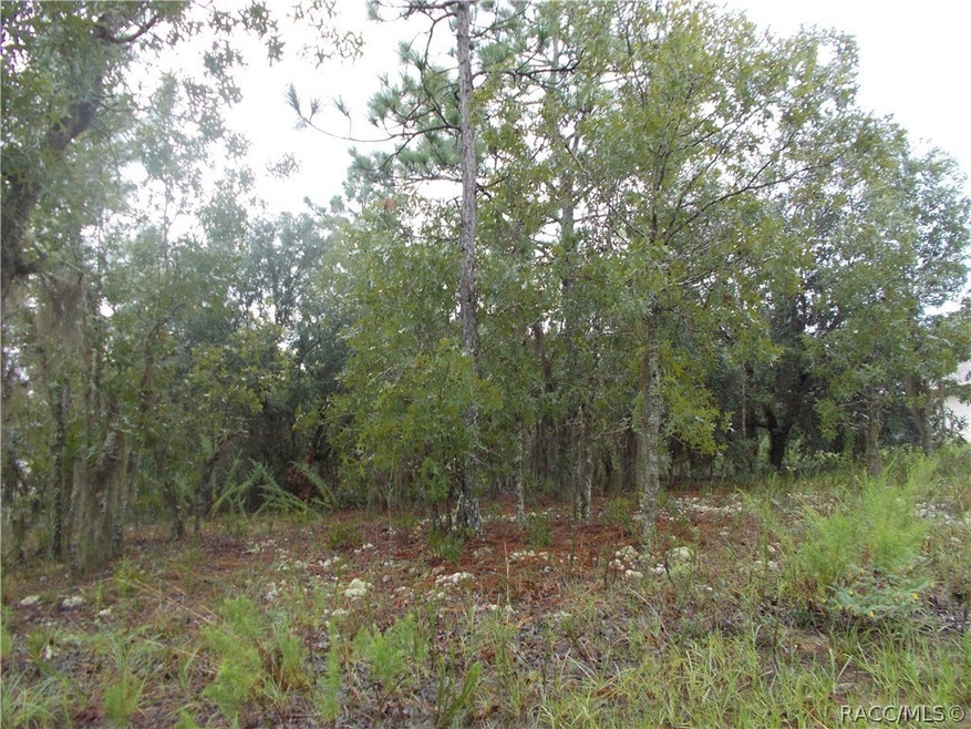 3376 N Eisenhower Ave, Hernando, FL 34442 - photo 1