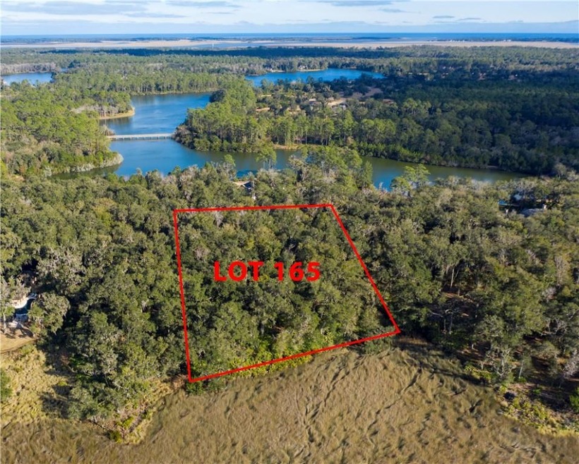 65 Hatton Ln, Saint Simons Island, GA 31522 - photo 1