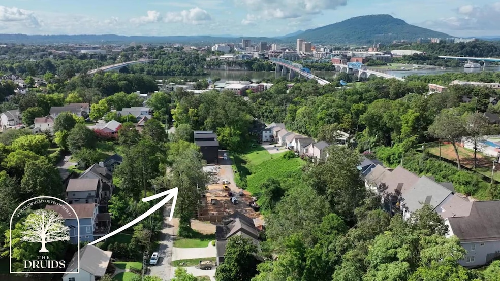 401 Druid Ln, Chattanooga, TN 37405 - photo 1