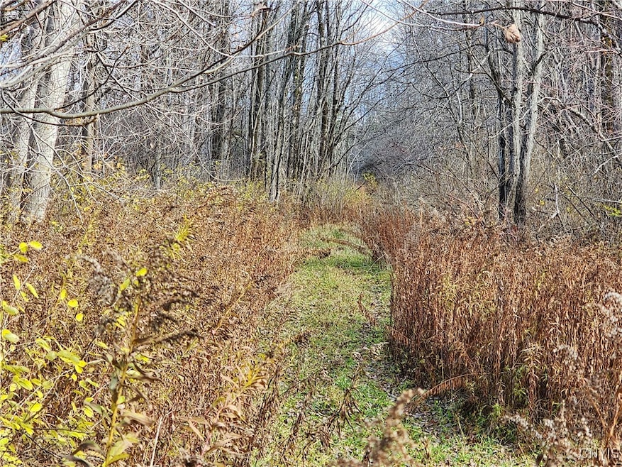 0 New York 294, Boonville, NY 13309 - photo 1