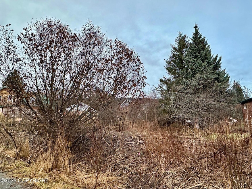 858 Linda Ct, Homer, AK 99603 - photo 1