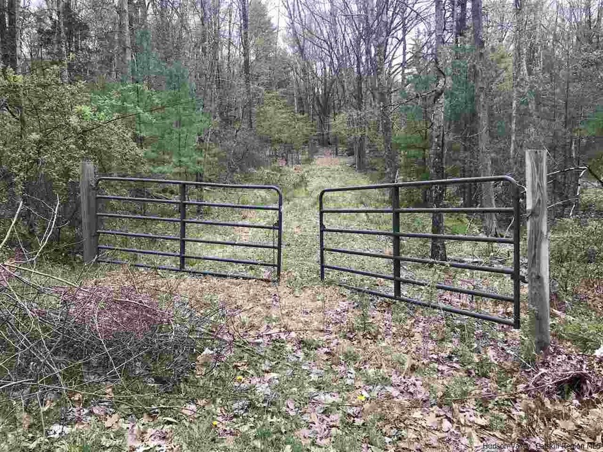 60 Lawrence Hill Rd, Rochester, NY 12404 - photo 1