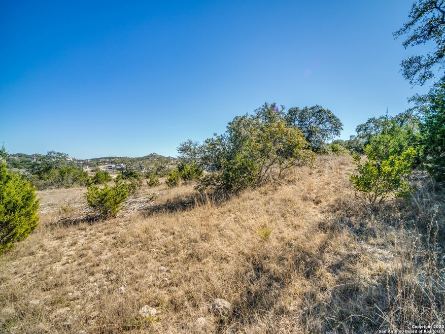 10411 Doherty Springs, San Antonio, TX 78255 - photo 1