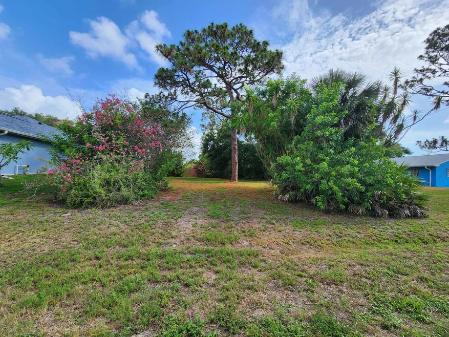 1901 Biddle St NE, Palm Bay, FL 32907 - photo 1