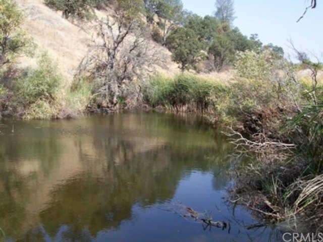 I took this photo of the pond at the end of Septem