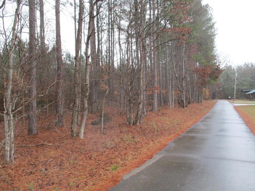 0 SW Baker Rd, Dalton, GA 30721 - photo 1