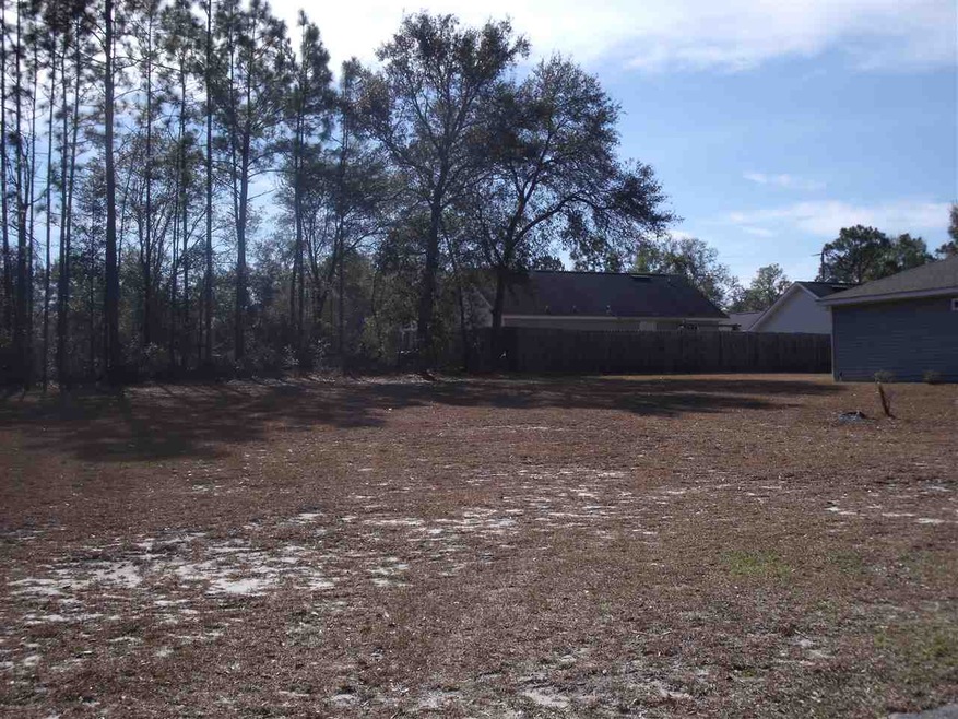 0 Homan Point Ave unit 256877, Crawfordville, FL 32327 - photo 1