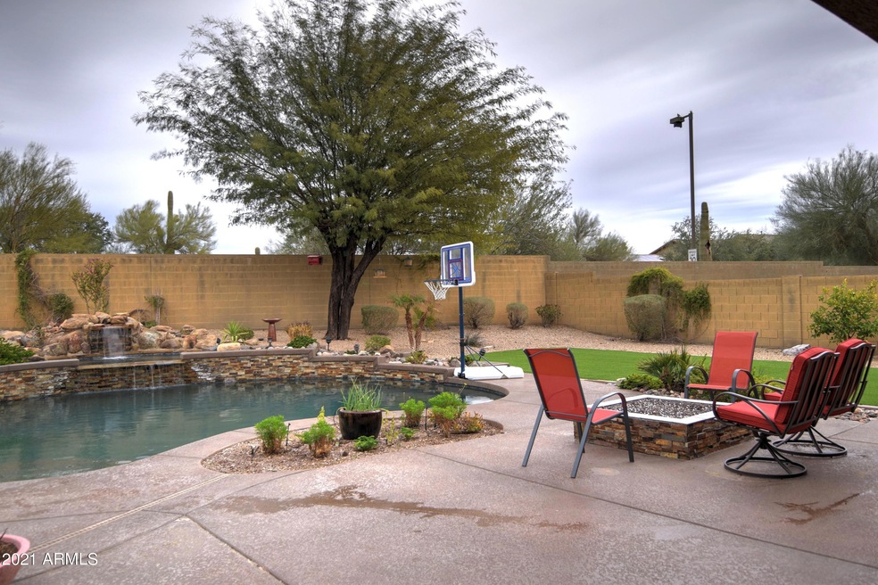 Backyard 2