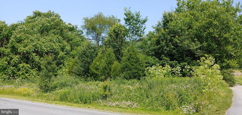 4 Caledonia Dr, Martinsburg, WV 25405 - photo 1