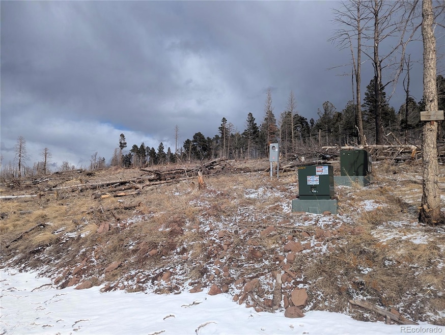 2283 Wohlstetter Loop, Fort Garland, CO 81133 - photo 1