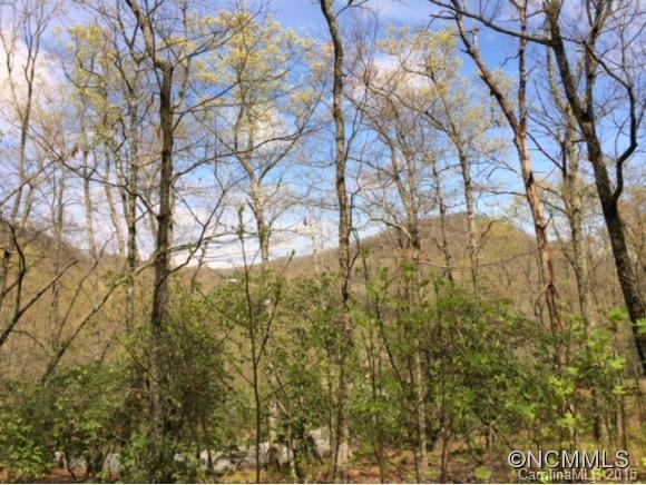 1805 Bella Vista Ct unit 127, Arden, NC 28704 - photo 1