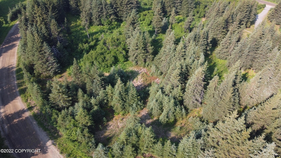 DJI_0798