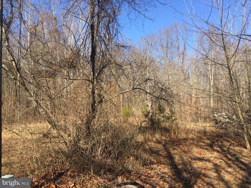 21 Willies Ln, Stafford, VA 22554 - photo 1