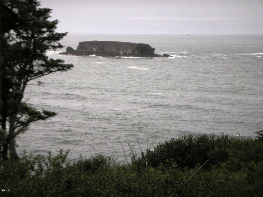 Ocean Front Lot