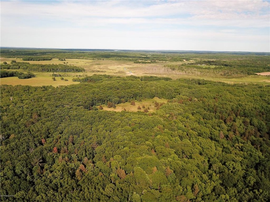 DJI_0181