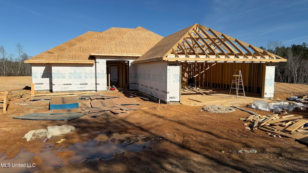 1132 Crews Ln, Crystal Springs, MS 39059 - photo 1