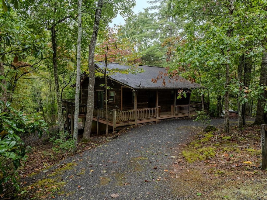 Main View